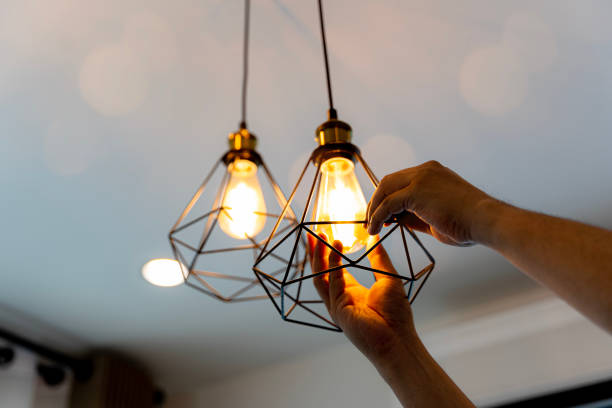 Best Electric Panel Repair  in Shady Side, MD